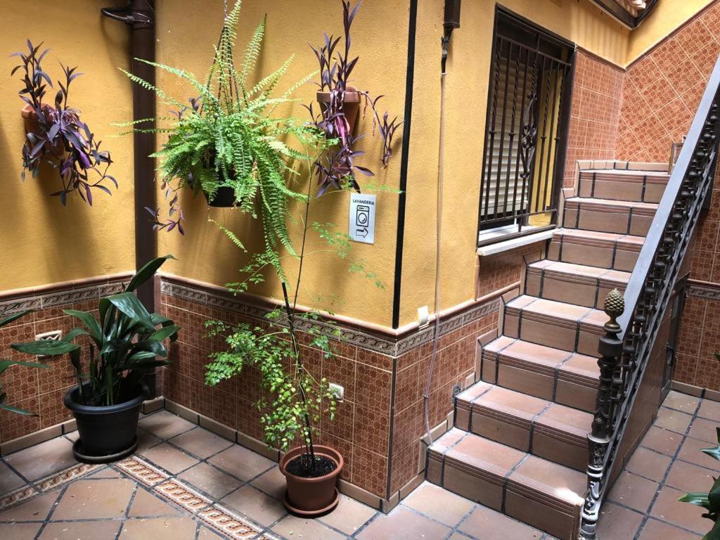 Apartamento Tranquilo E Ideal Para Parejas, Con Bonitas Vistas De Toledo Y Fantastica Ubicacion Extérieur photo